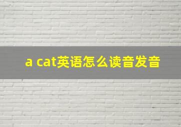 a cat英语怎么读音发音